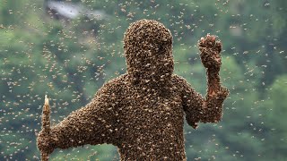 5 САМЫХ ЖУТКИХ НАШЕСТВИЙ НАСЕКОМЫХ В ИСТОРИИ