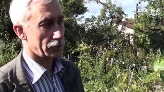 Как удалять пасынки у винограда? Когда прищипывать лозу.Сайт "Садовый мир"