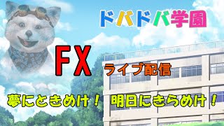 【FXライブ】令和2年1月１5日水曜日/後半戦