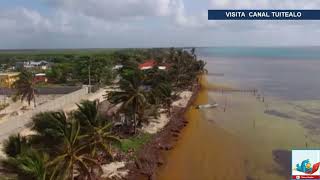 Sargazo arriba a costas de Yucatán y Veracruz