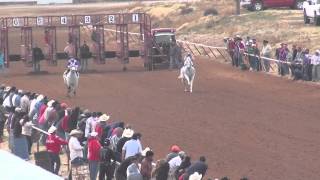 El Pintor vs El Moro de Austin a 330 Yardas