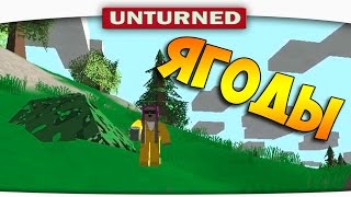 ч.02 Выжившие в Unturned - Съедобные Ягоды