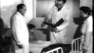 PKF 1947 08