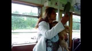 Ciganka se svađa u autobusu