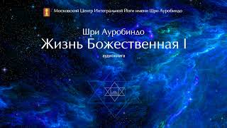 Шри Ауробиндо. Жизнь Божественная. Том 1. Глава 10 - Сознательная Сила