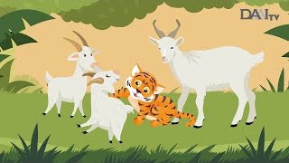 Induk Kambing dan Anak Harimau