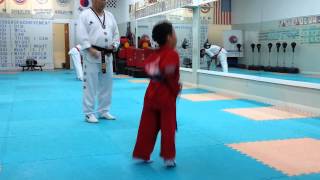 2013 taekwondo 6 years old kid's