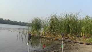 Рыбалка кормачками на реке(Дневник рыболова)