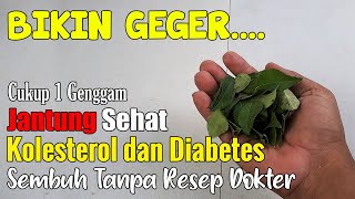 SETELAH NONTON VIDEO INI, ANDA AKAN MENCARI TANAMAN REMPAH INI SAMPAI DAPAT