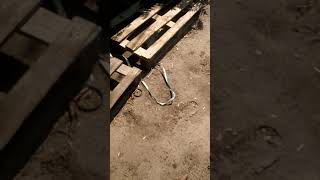 Газ 53 с мотором Мерседес