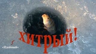 Зимняя рыбалка