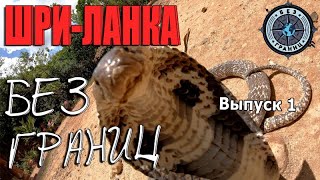Бросок кобры и как мы попали в АД. ШРИ-ЛАНКА БЕЗ ГРАНИЦ.ВЫПУСК 1.Змеиная ферма и Храм Вевуруканнала.
