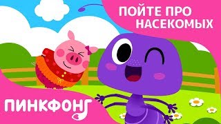 Муравьи в штанах | Песни про насекомых | Пинкфонг песни для детей