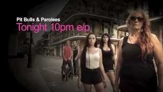 APL PBP EP407 TON 30 h264