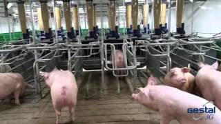 2800 SOWS UNIT