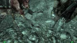 Fallout 3 glitch
