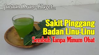 LEBIH DAHSYAT DARI OBAT DOKTERSEBELAH RUMAH, SAKIT PINGGANG DAN PEGAL LINU SEMBUH TANPA UBAT