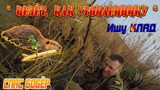 Везёт как утопленнику/Ищу клад/Спас бобёр