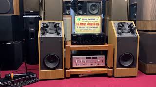 TEST THEO YÊU CẦU - BOSE 601/3 XUẤT SẮC + AMPLY SANSUI AU-907DR XUẤT SẮC - VANG M8+ MIX DBACOUSTIC
