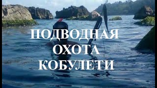 Подводная ОХОТА рыбалка Кобулети ქობულეთი Аджария Грузия