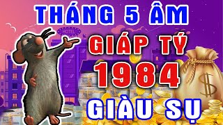 Tử Vi Tháng 5 Âm Hé Lộ Tuổi GIÁP TÝ 1984, Thoát Mọi Khổ Ải, Đổi Vận Giàu Sang, GIÀU HƠN TỶ PHÚ