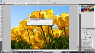 4 урок - Эксперт в Photoshop за 30 дней