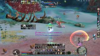The Tower of AION 4.91 Cleric　PvP vol.4