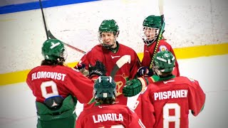 25.01.2020 Karhu-Kissat - Team EST C maalikooste