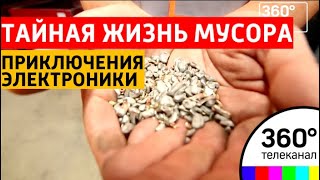 Приключения электроники. Тайная жизнь мусора