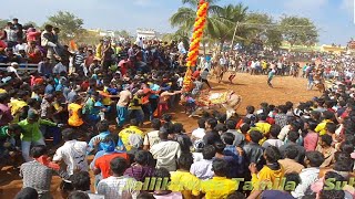 Lion - Bagubali - SvB - bulls || B Singrapalli Jallikkattu 2020