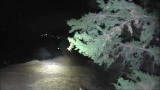 2905 Ενημ.Βιντ Εκπαιδ. Γιουρα @ Μπηγκλις κουταβια
