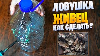 Ловушка для живца. Как наловить живца. Leonid Timo