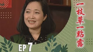 一枝草一點露 EP7