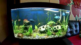 Переделка аквариума под гибридное освещение. Hybrid light for freshwater aquarium.