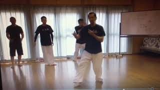 太氣拳「前捌きの探手」〜新作DVD教材チラ見せ動画