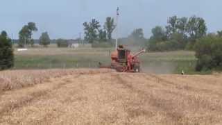 harvest 2013
