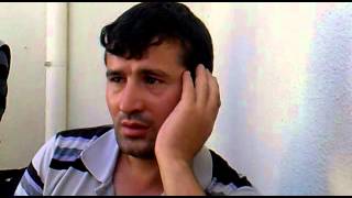 ARİF FERDİ GİBİ 