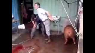 Как забить кабанчика Lucky Pig and two Dumbass