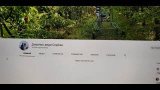 Дневник Дяди Серёжи - Куда делся топовый Блогер Германии ?