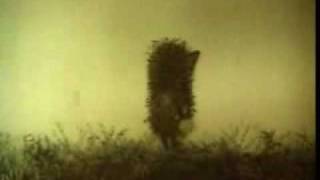 Jozhik v Tumane and Burzum Dunkelheit