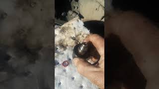 Engine brake solenoid E9 500 Mack motor