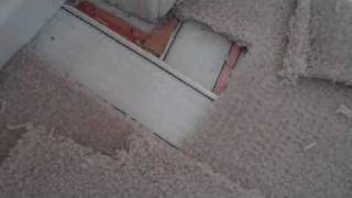 Carpet Repair, Damage Caused by a Cat