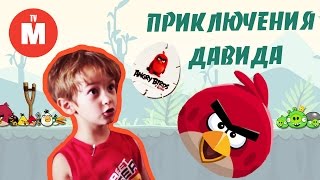 Приключения Давида и Лунтика ПОДАРОК ДЛЯ РЭДА Энгри Бердз ANGRY BIRDS Видео для детей