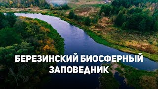 Березинский биосферный заповедник (Беларусь)