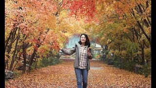#HANAGo Autumn Special - Naejangsan Mt.