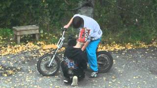 Samuraista innerin puola irti.