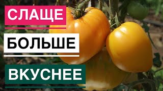 Теперь томаты будут сладкие и вкусные!!!