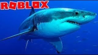 Roblox - O tutubarão [Fixed] SharkBite (ALPHA)