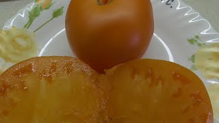 ТОМАТ "ЗАВТРАК КЕЛЛОГС" (Kellogs Breakfast Gross США). №335. Дегустация. 