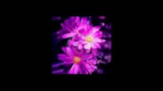 Pandit Bhimsen Joshi -Bhairavi Bhajan-Prabhu kar sab dukh door hamare
